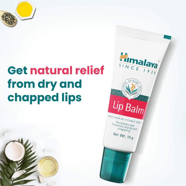 Himalaya Lip Balm 10g×50本 Buy Himalaya Herbals Lip Balm, 10 grams (Pack of 12) Online